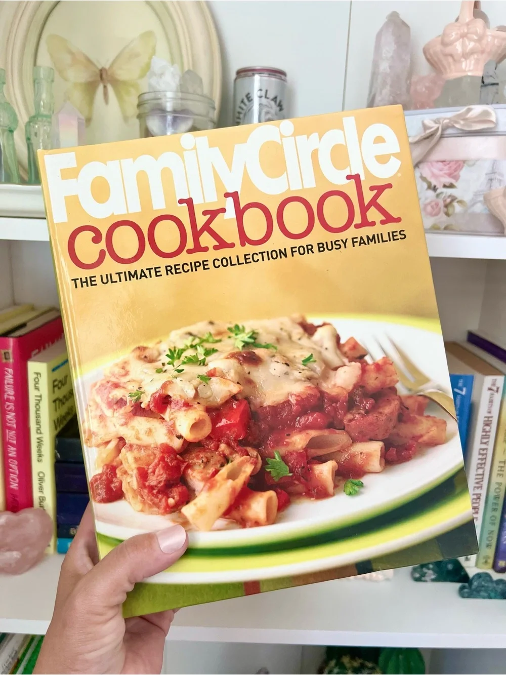Family Circle Cookbook Ultimate Recipe Collection Busy Families Binder 2007